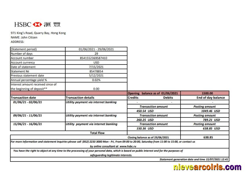 Hong Kong HSBC bank statement easy to fill in .xls and .pdf file format